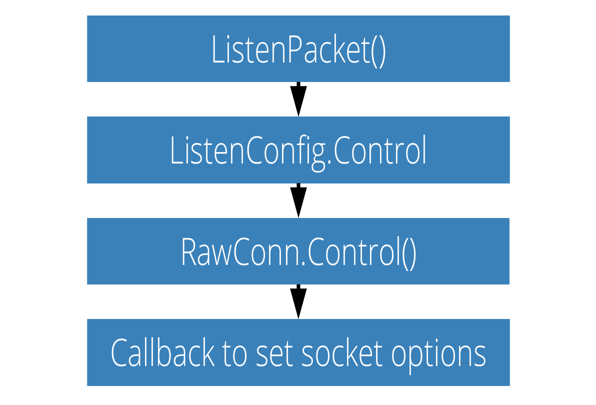 Passing Socket Options in Go